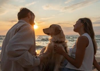 dog friendly beaches Europe