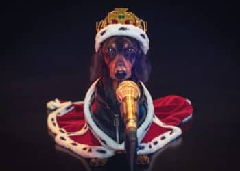 8 Dog Breeds That Were Originally Bred for Royalty